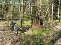 Разведка боем: Елизаветинка. Разведка боем: Елизаветинка.