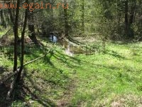 Разведка боем: Елизаветинка. Разведка боем: Елизаветинка.