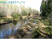 Разведка боем: Елизаветинка. Разведка боем: Елизаветинка.