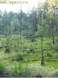 Чёртово городище (10-13 августа 2007) продолжение Чёртово городище (10-13 августа 2007) продолжение