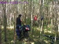 Чёртово городище (10-13 августа 2007) продолжение Чёртово городище (10-13 августа 2007) продолжение