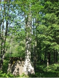 Калужские засеки 2008 Калужские засеки 2008