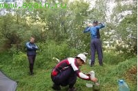 Калужские засеки 2008 Калужские засеки 2008