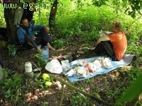 Калужские засеки 2008 Калужские засеки 2008