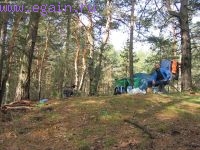 Калужские засеки 2008 Калужские засеки 2008