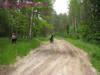 Калужские засеки 2008 Калужские засеки 2008
