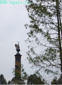Однодневка в Тарутино. Однодневка в Тарутино.