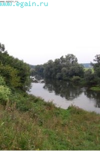 Однодневка в Тарутино. Однодневка в Тарутино.