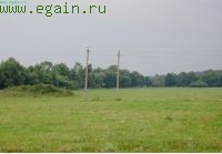 Однодневка в Тарутино. Однодневка в Тарутино.