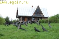 Семейный поход на Николо-Ленивец. Семейный поход на Николо-Ленивец.