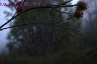 Семейный поход на Николо-Ленивец. Семейный поход на Николо-Ленивец.