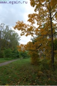 Осенний Никола-Ленивец. Осенний Никола-Ленивец.