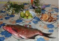 Осенний Никола-Ленивец. Осенний Никола-Ленивец.