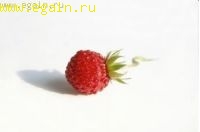 Сок из земляники Сок из земляники