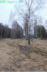 О поездке Шемякино – Недельное - Ерденево. О поездке Шемякино – Недельное - Ерденево.