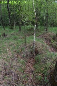 Ильинские рубежи. Ильинские рубежи.