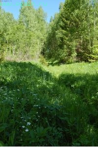 Старокалужский тракт. Старокалужский тракт.