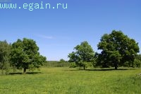 Старокалужский тракт. Старокалужский тракт.