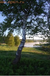 Старокалужский тракт. Старокалужский тракт.