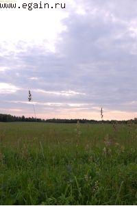 К памятнику в Выползово. К памятнику в Выползово.