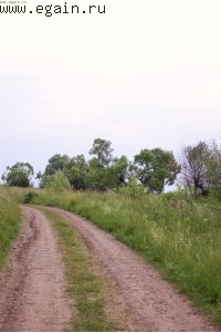 К памятнику в Выползово.