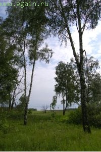 К памятнику в Выползово. К памятнику в Выползово.