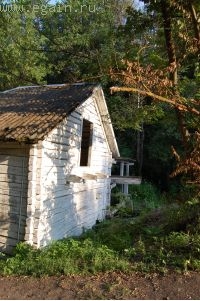 Старая мельница в с. Колодежном, Воронежской обл.