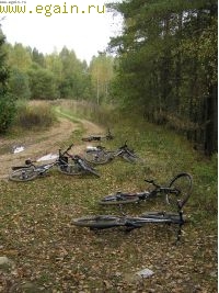Золотая осень на Суходреве Золотая осень на Суходреве